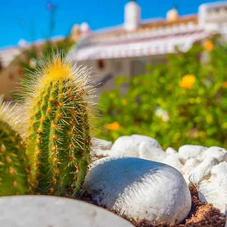 Appartement Inftour La Vina