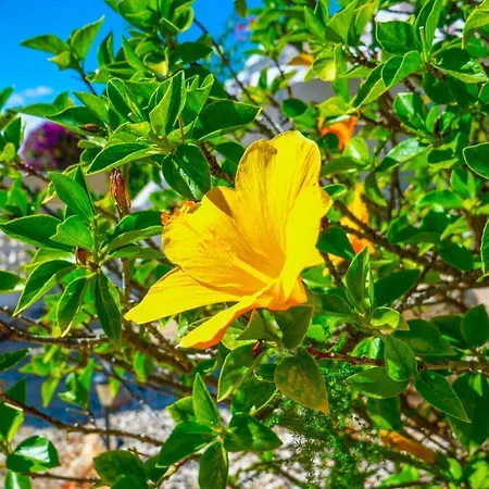 Appartement Inftour La Vina Calpe